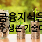 금융 지식이 곧 자산이 되는 초보자도 실천 가능한 효과적인 공부법 총정리