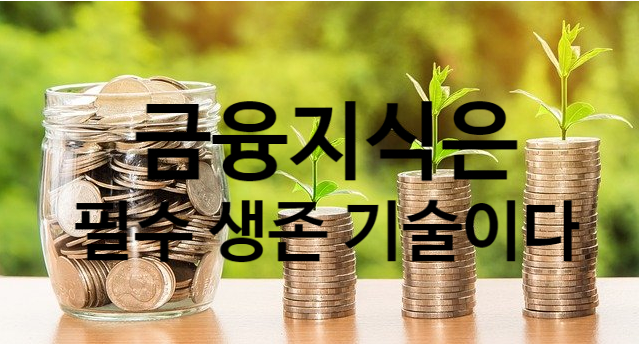 금융 지식이 곧 자산이 되는 초보자도 실천 가능한 효과적인 공부법 총정리