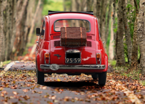 자동차보험의 모든 것!