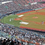 KBO 경기