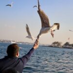 A man feeds seagulls by the sea on a sunny day. Birds in flight with cityscape backdrop.
