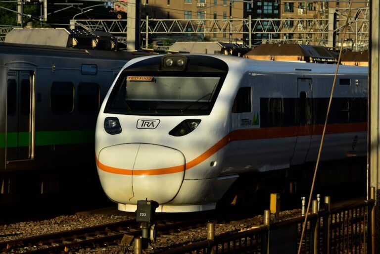 《迎光而立》｜Facing the Light