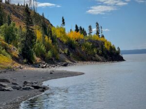 Vibrant autumn colors along the rocky shore of Yellowstone Lake under a clear sky.