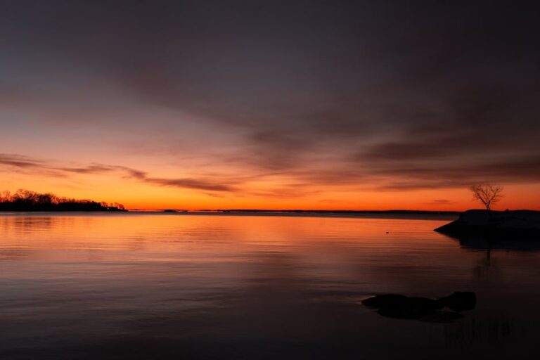 Free stock photo of connecticut, cove island park, dawn