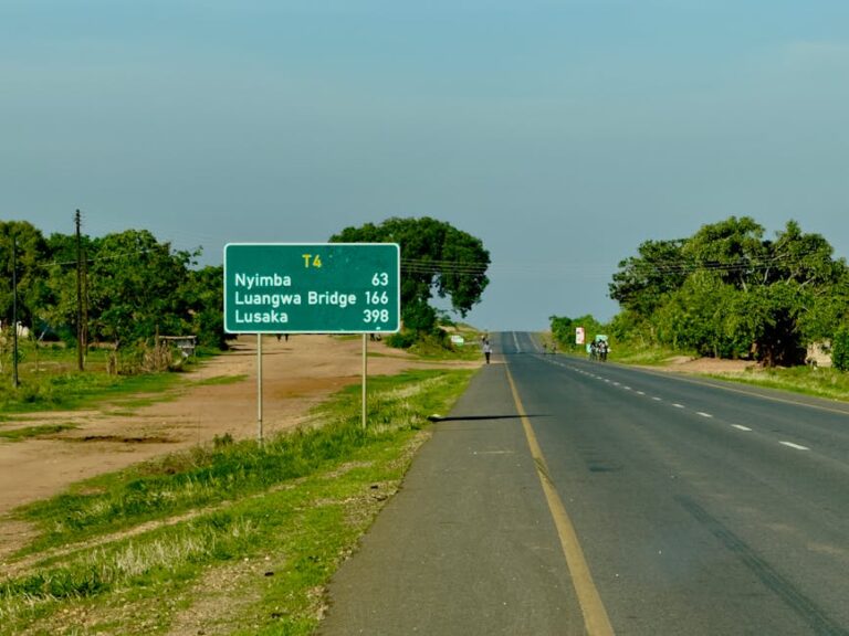 Road sign indicating directions to Nyimba and Lusaka, with a rural landscape.