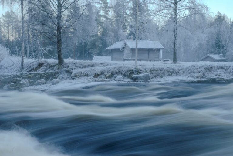 Free stock photo of watet