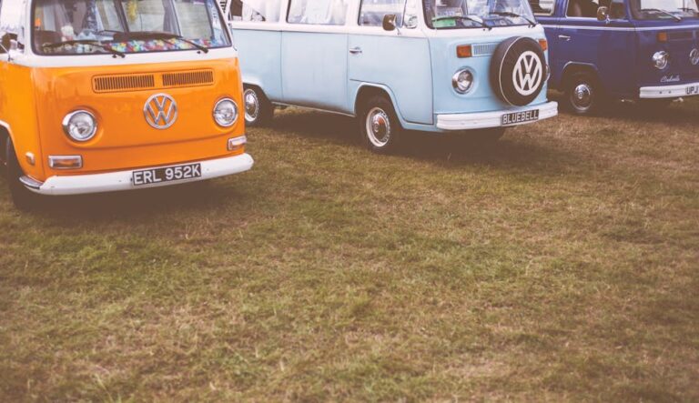 Three vintage Volkswagen vans in orange, blue, and navy, parked on grassy field.
