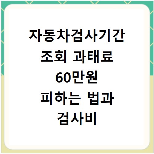 자동차검사기간 조회 과태료 60만원 피하는 법과 검사비 확인