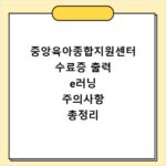 중앙육아종합지원센터 수료증 출력 e러닝 주의사항 총정리