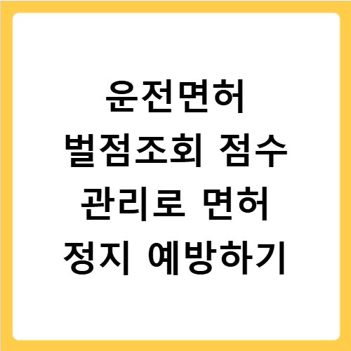 운전면허 벌점조회 점수 관리로 면허 정지 예방하기