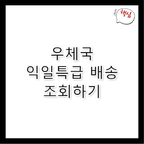 우체국 익일특급 토요일 배송 수령 시간