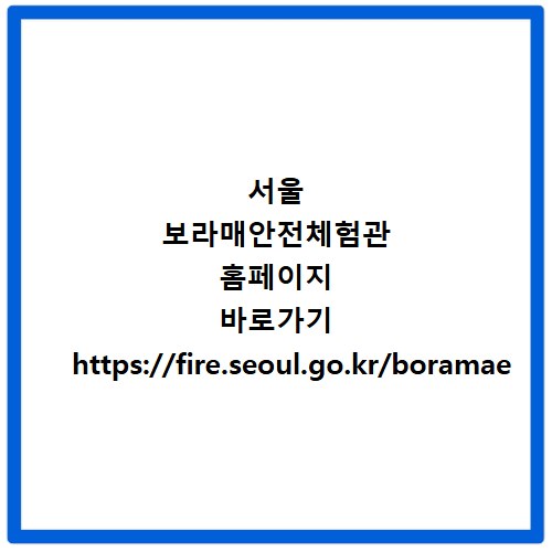 서울 보라매안전체험관 홈페이지 바로가기 https://fire.seoul.go.kr/boramae