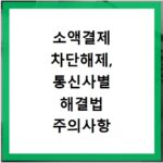 소액결제 차단해제, 통신사별 해결법 주의사항 보안 수칙