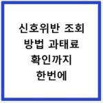 신호위반 조회 방법 과태료 확인까지 한번에