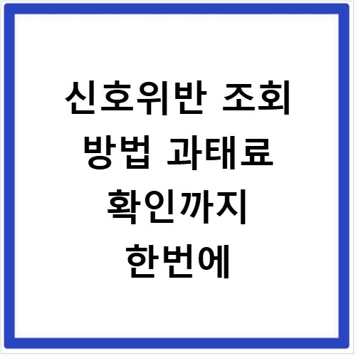 신호위반 조회 방법 과태료 확인까지 한번에