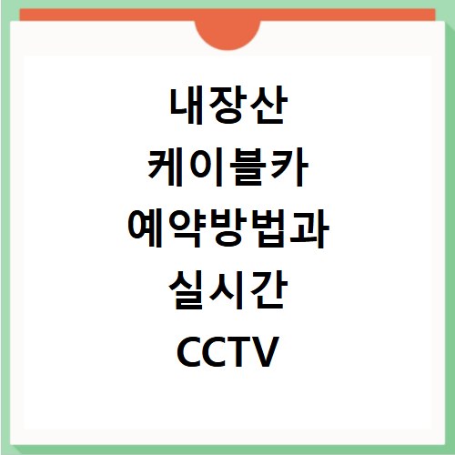 내장산 케이블카 예약방법과 실시간 CCTV 확인하기