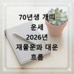 70년생 개띠 운세 2026년 재물운과 대운 흐름 확인하기