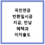 국민연금 반환일시금 지급, 반납 혜택과 이자율도 상세히 알려드립니다