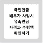 국민연금 배우자 사망시 유족연금 자격과 수령액 확인하기