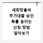 새희망홀씨 추가대출 승인 확률 높이는 신청 방법 알아보기