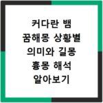 커다란 뱀 꿈해몽 상황별 의미와 길몽 흉몽 해석 알아보기