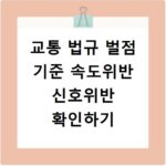 교통 법규 벌점 기준 속도위반 신호위반 확인하기