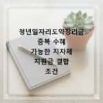 청년일자리도약장려금 중복 수혜 가능한 지자체 지원금 결합 조건 확인