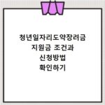 청년일자리도약장려금 지원금 조건과 신청방법 확인하기