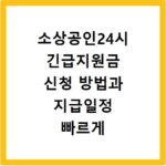 소상공인24시 긴급지원금 신청 방법과 지급일정 빠르게 확인하는 법