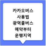 카카오버스 사용법 광역콜버스 예약부터 운행지역 확인까지 한 번에 해결하기