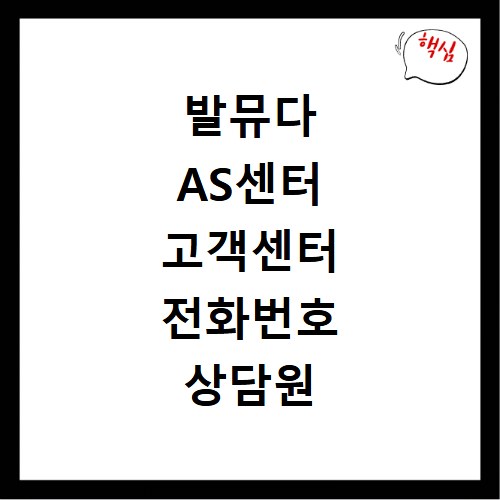 발뮤다 AS센터 고객센터 전화번호 상담원 연결 방법 알아보기