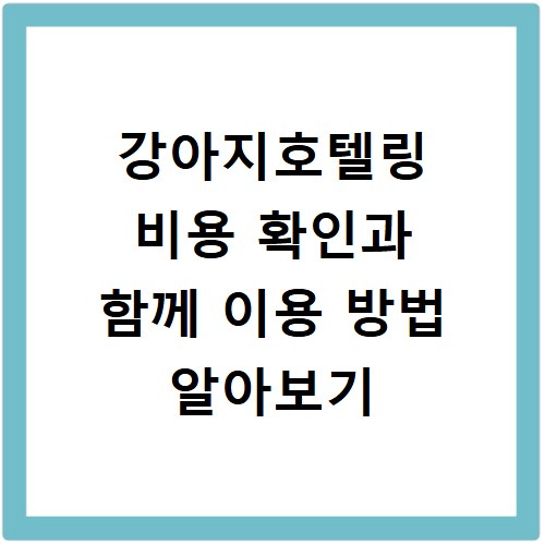 강아지호텔링 비용 확인과 함께 이용 방법 알아보기