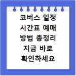 코버스 일정 시간표 예매 방법 총정리 지금 바로 확인하세요