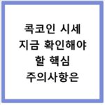 콕코인 시세 지금 확인해야 할 핵심 주의사항은