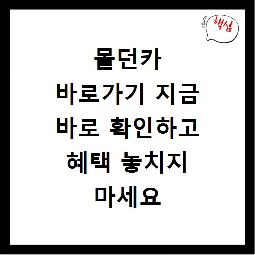 몰던카 바로가기 지금 바로 확인하고 혜택 놓치지 마세요