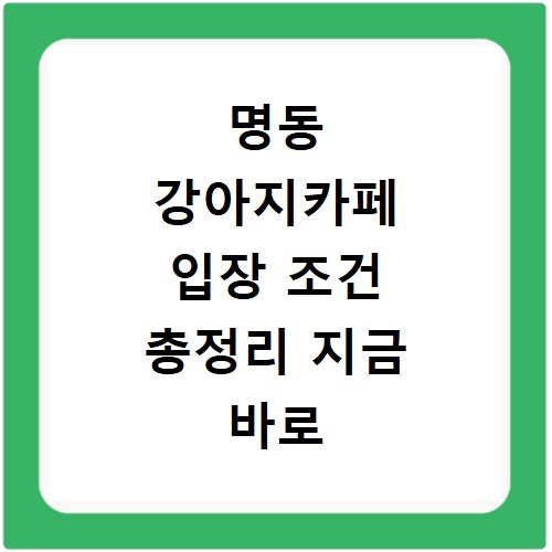 명동 강아지카페 입장 조건 총정리 지금 바로 확인하세요