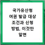국가유산청 여권 발급 대상 조건과 신청 방법, 이것만 알면 끝