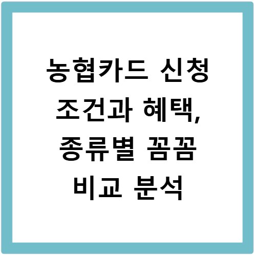 농협카드 신청 조건과 혜택, 종류별 꼼꼼 비교 분석