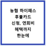 농협 하이패스 후불카드 신청, 연회비 혜택까지 한눈에 비교