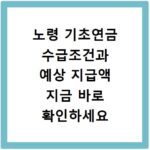 노령 기초연금 수급조건과 예상 지급액 지금 바로 확인하세요