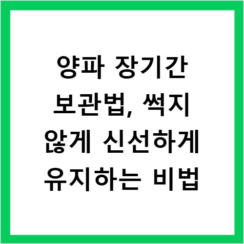 양파 장기간 보관법, 썩지 않게 신선하게 유지하는 비법