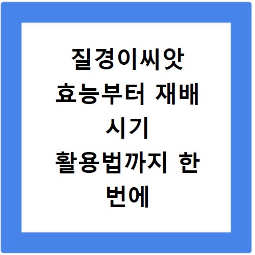 질경이씨앗 효능부터 재배 시기 활용법까지 한 번에 알아보기