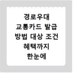 경로우대 교통카드 발급 방법 대상 조건 혜택까지 한눈에 확인