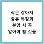 작은 강아지 종류 특징과 분양 시 꼭 알아야 할 것들