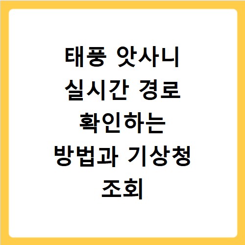 태풍 앗사니 실시간 경로 확인하는 방법과 기상청 조회 순서