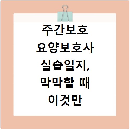 주간보호 요양보호사 실습일지, 막막할 때 이것만 보세요