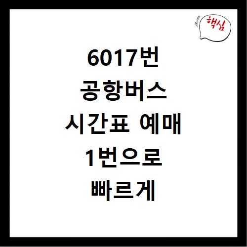 6017번 공항버스 시간표 예매 1번으로 빠르게 확인하는 방법