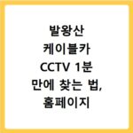 발왕산 케이블카 CCTV 1분 만에 찾는 법, 홈페이지 바로가기