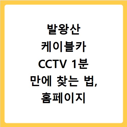 발왕산 케이블카 CCTV 1분 만에 찾는 법, 홈페이지 바로가기