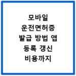 모바일 운전면허증 발급 방법 앱 등록 갱신 비용까지 한 번에 해결